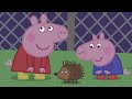 Peppa Pig Français Peppa Pig Saison 06 Épisode 09 Dessin Animé