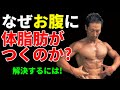 体脂肪がつきやすい場所とは？なぜお腹に体脂肪がつくのか？その解決法とは！腹筋を割りたいなら知っておくべきこと。