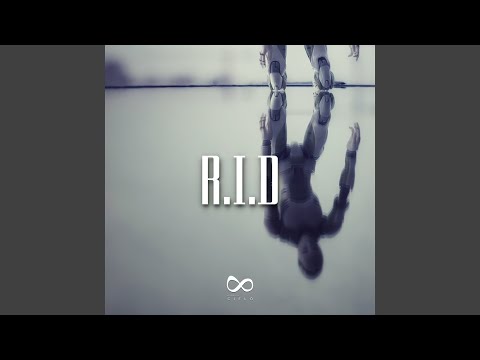 r.i.d. (Endrik Schroeder Remix)