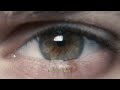 Jordan Lee - Mantra (Official Music Video)