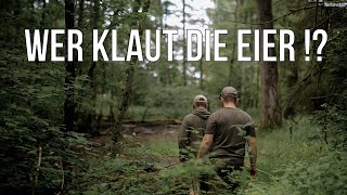 Freunde der Jagd | Folge 44 - &#39;Wer klaut die Eier?&#39; Langzeitbeobachtung