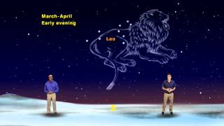 Star Gazers &quot;Leo the Lion Chases Orion&quot; 5 Min version