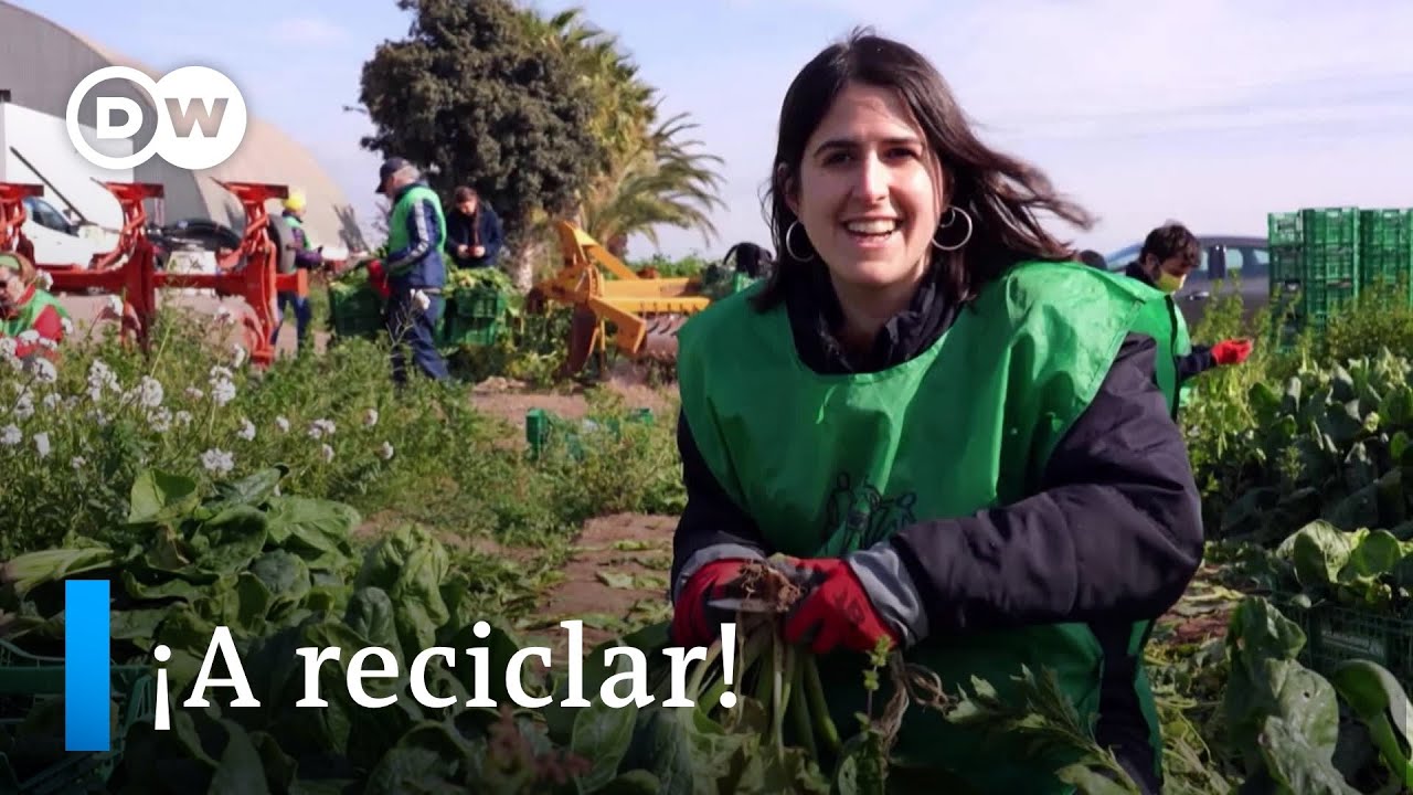 Economía circular y reciclaje - Programa completo