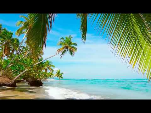 Oceanski valovi, prekrasna plaža, šum valova