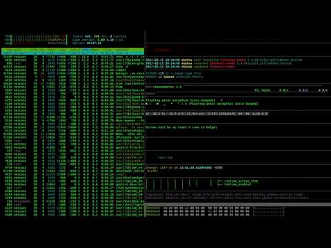 Zielak - informatyka