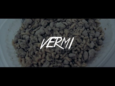 Rotella \ Cogre \ SouthUzi el Cuervo - VERMI (Official Video)