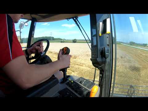 Weizenernte in Niederbayern 2021 mit CASE IH 6088