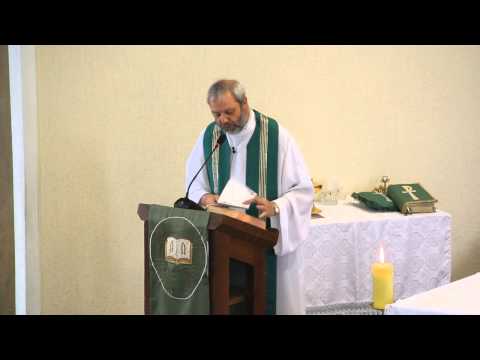 Homilia Pe.Félix 33º Dom.do Tempo Comum - 17/11/2013