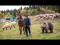 87 Years Among Wolves And Bears The Legendary Shepherd Of The Carpathians