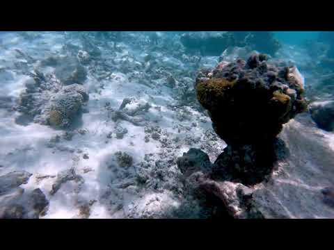 Trip to Desert Island in Alif Alif Atoll, Maldives 🇲🇻｜4K