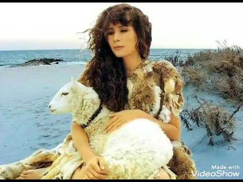 Cung la buồn - Ngọc Lan