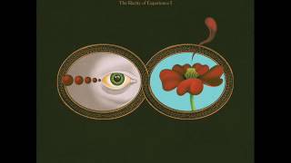 Chris Forsyth & The Solar Motel   The Rarity Of Experience 2