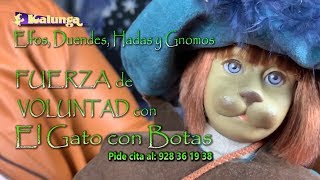 Consigue FUERZA DE VOLUNTAD con El Gato con Botas