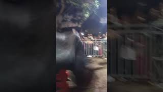 Download lagu Bantengan Margo Budoyo live pandan Toyo Kertosono mp3 Download lagu Bantengan Margo Budoyo live pandan Toyo Kertosono mp3