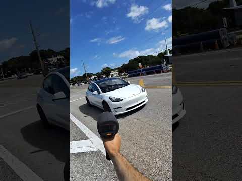 Throwing Mahi Mahi at speeding cars in schools zones in Florida!!!