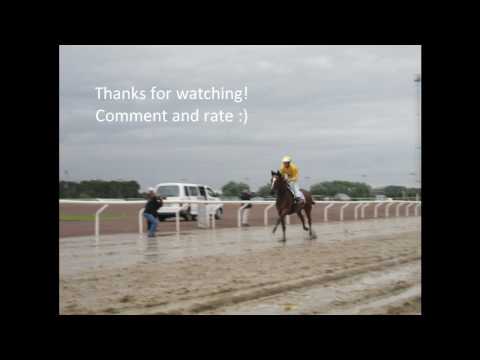 Swedish Derby, Jagersro 2010