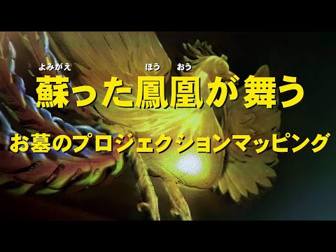 鳳凰が舞う。お墓のプロジェクションマッピング