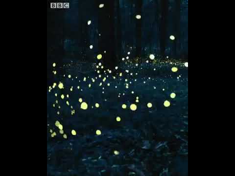 Sia - Out There ft. Hans Zimmer