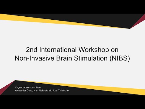 HNN: a new tool to study the circuit origin of EEG and impact of brain stimulation / Stephanie Jones