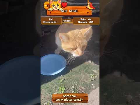 Vídeo de SEM NOME