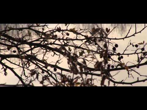 showreel