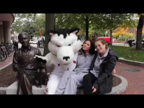 Shake It Off Northeastern University Athletics Lip Dub
