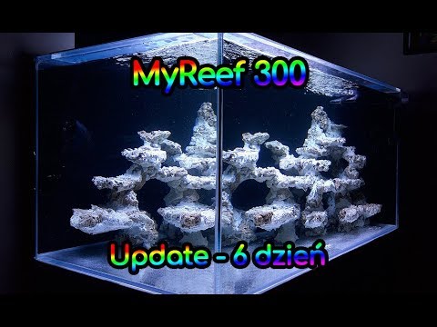 (107) MyReef 300 / Update / 6 dzień dojrzewania - Akwarium morskie - Reef aquarium
