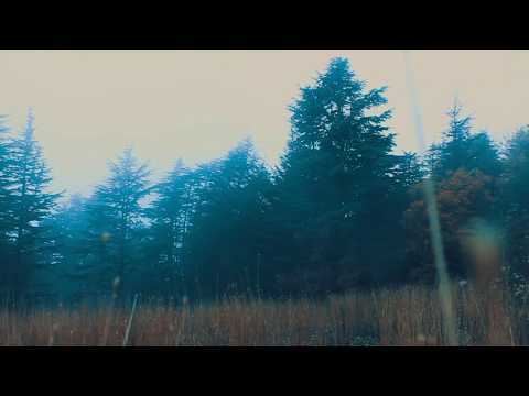 Michael Beiruty - Mesmerized Teaser        (OUT ON Trippy Code)