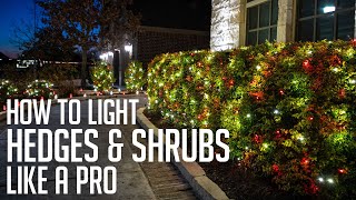 How to Install Christmas Lights on Hedges, Bushes and Shrubs Like a Pro