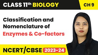 Classification & Nomenclature of Enzymes & Co-factors - Biomolecules | Class 11 Biology Chapter 9