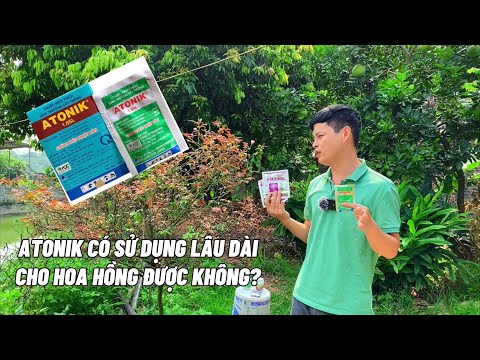 Atonik có sử dụng lâu dài cho hoa hồng được không?