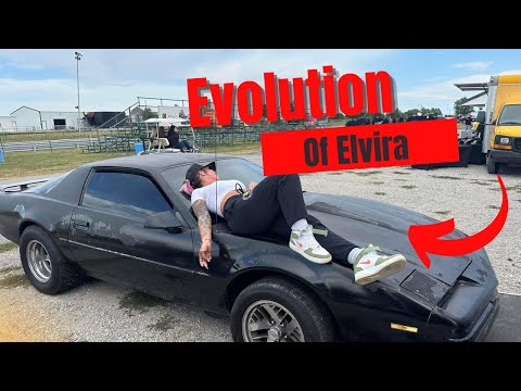 Evolution on Elvira