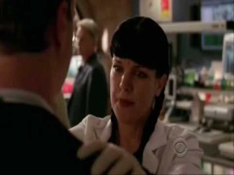 NCIS Team-Kangaroo Cry