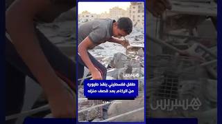 طفل فلسطيني يبكي بحرقة وهو ينتشل طيوره من تحت أنقاض منزله المدمر بالقصف الإسرائيلي thumbnail