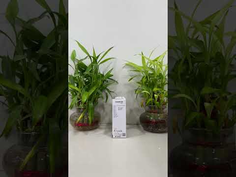 Drospirenone + Ethinylestradiol  (Drosnik-30) Tablet