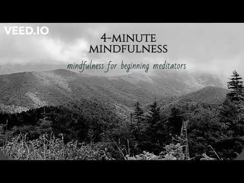 4-Minute Guided Mindfulness Meditation