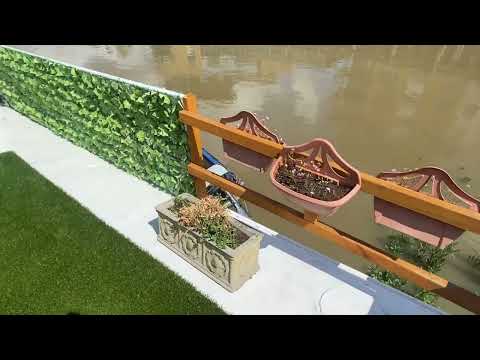 Dutch Barge Tjalk Fully furnished liveaboard with mooring - Boatshed - Boat Ref#324741