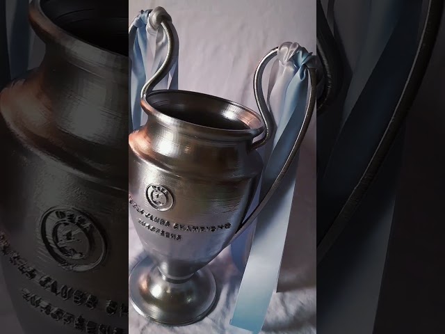 Vídeo relacionado con Trofeos Martínez - Trofeo Copa Champions ABS Personalizada (19)