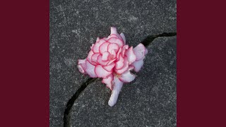 Everything Is Falling Apart