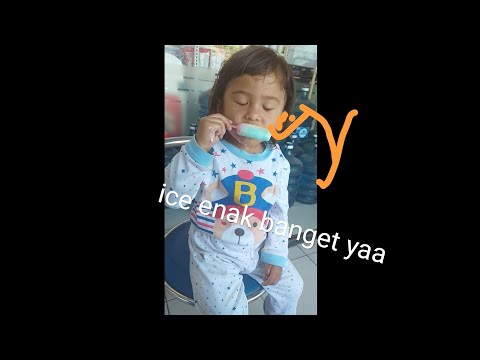 Ice paddle pop walls (anindya pelit)