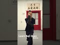 Baji Quan Online Classes Qigong Kungfu Taichi Martialarts Wudang Baji Bajiquan