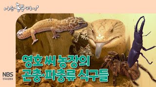 [나는농부다 286회] 영호 씨 농장의 곤충·파충류 식구들