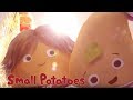 Small Potatoes The Potatoes Are Awesome