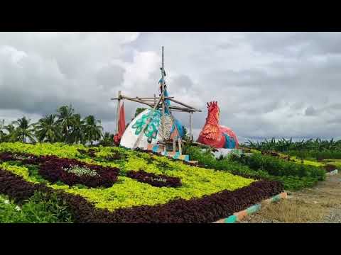 Ep.16 INAS GREENSCAPE AND FLOWER FARM..Ikutin natin ang kanilang MAZE at boung lugar ...