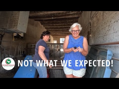 Hidden Gem or... ? Our Honest Gela Adventure + Surprise Baby Chicks!  Episode #61