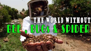 What If Bees, Bugs & Spiders Never Existed? -  History Documentary