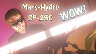 Mars-Hydro SP-250 Review