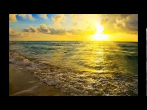 Scotty B- Sunshine State Ft Jaidan Tyler & Yace young