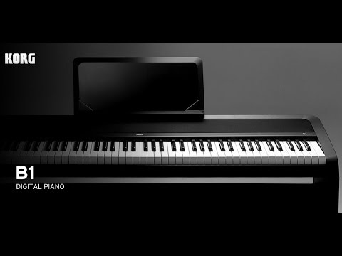 Korg B1 BK digitale piano 