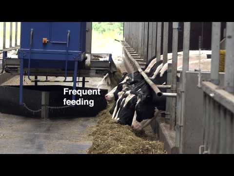 DeLaval Optimat™ Automated Feeding System